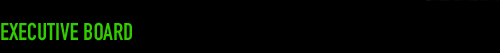 NYTVF EXECUTIVE BOARD