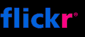 NYTVF on Flickr